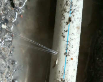 边坝卫生间测漏水多少钱