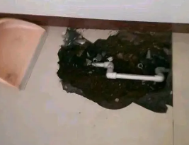 边坝卫生间测漏水多少钱